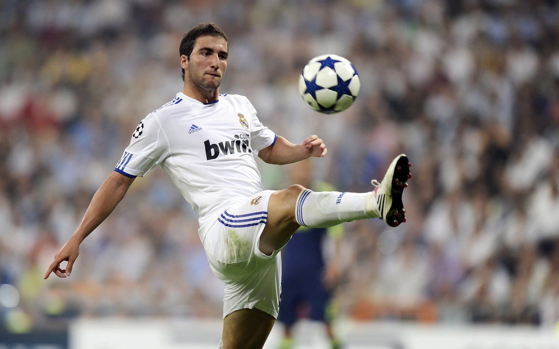 城市体育路线图发布明确未来场馆与赛事布局规划，城市体育设施